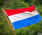 Флаг Нидерландов состоит из трех горизонтальных полос той же толщины. Цвета флага – красный, белый и синий
